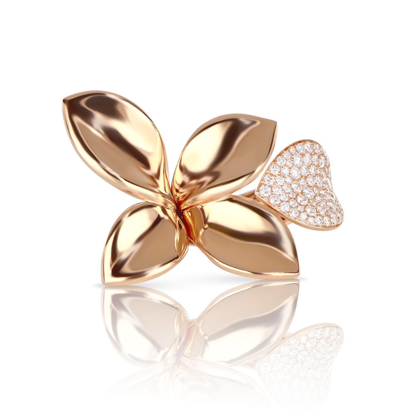 Anello Giardini Segreti